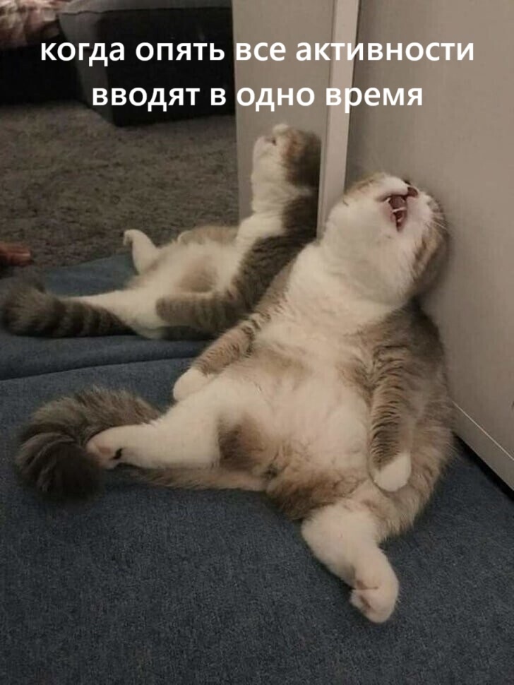 qGlhA-nFTuvUjkun5lNqpNpnj3SkBZDHUD4jZPde2UPV2H0e8pEL9_kLpdLgOLDPxSlTggsfSYUnFsZDcU6p_rA1.jpg