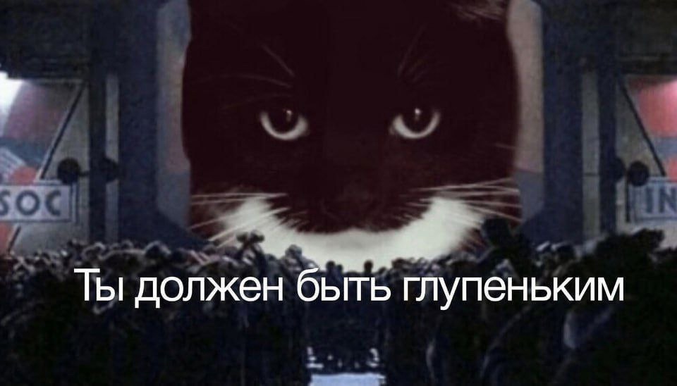 qkPhuk4SUUeLngZGfqaMj5qftreDbZqGzUJC_y9uX4JcC8IvAUTUhoWKanZFqJVr_7eYeJ_1wKKHT-UI5hXOijii.jpg