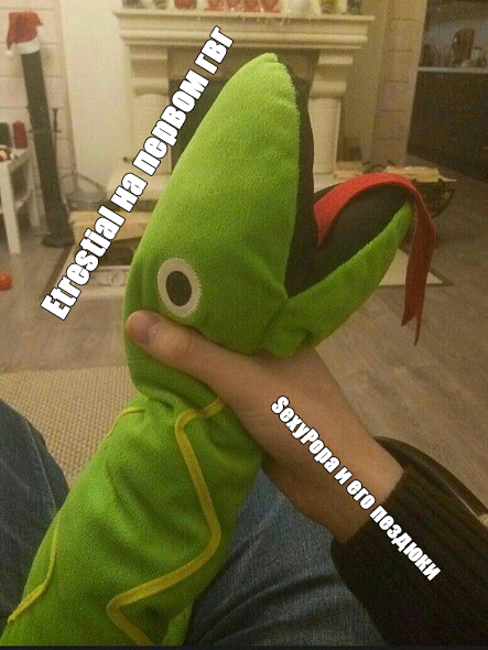 qwerfg.png