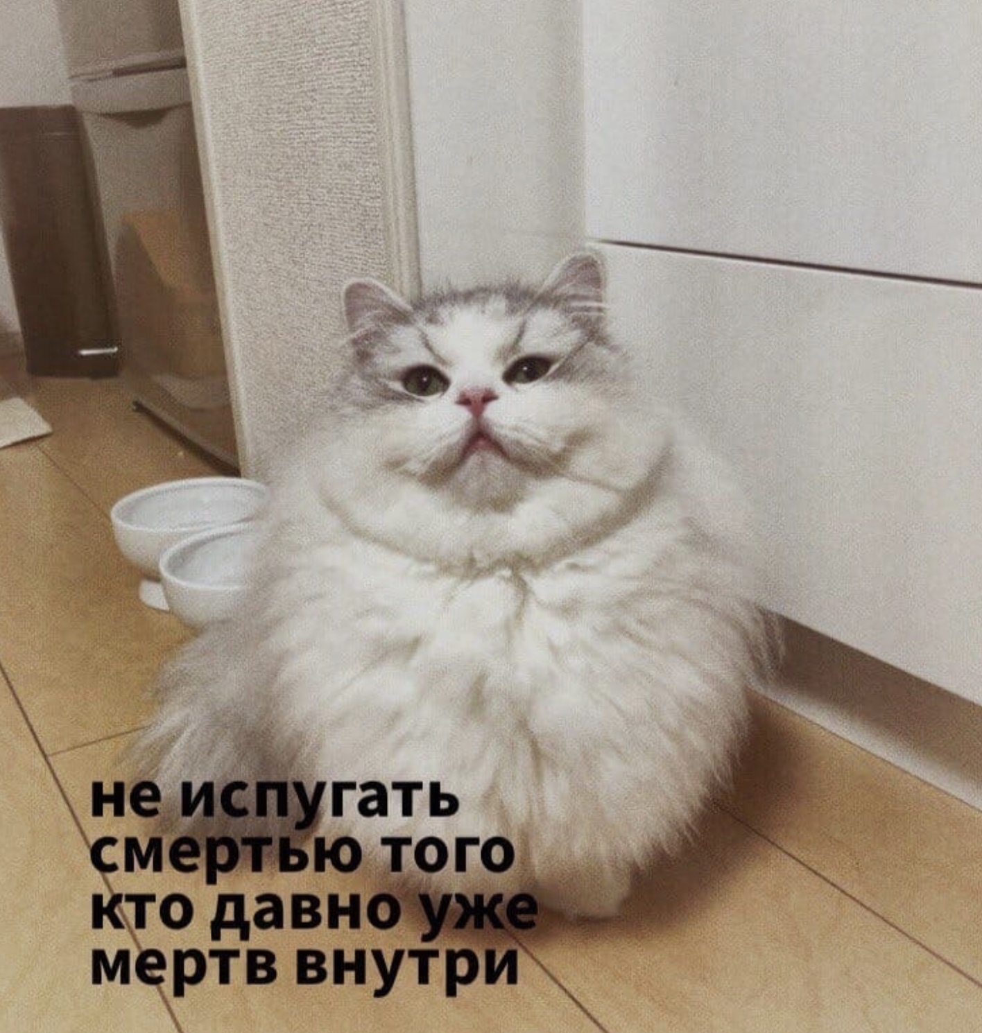 rbn.jpg