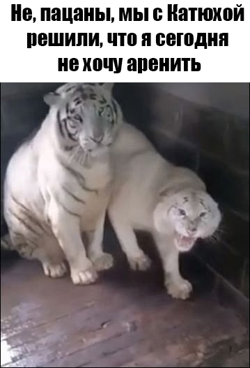 Rur7AyzBIE1KGK1coLoA2k5t68m5rN2K8tfF-dLFglzfVNe77t4-Uyfvgt_4HOp2_k9miDoCMXs6ROBgxFPFwWdh.jpg
