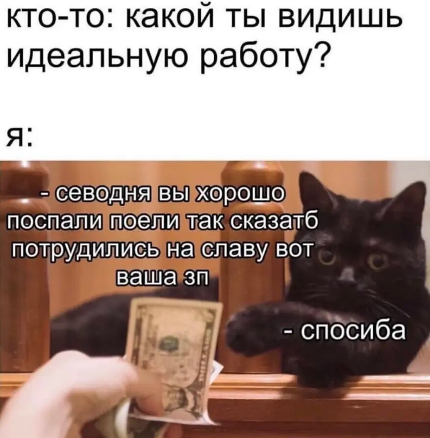 scale_1200.jpeg