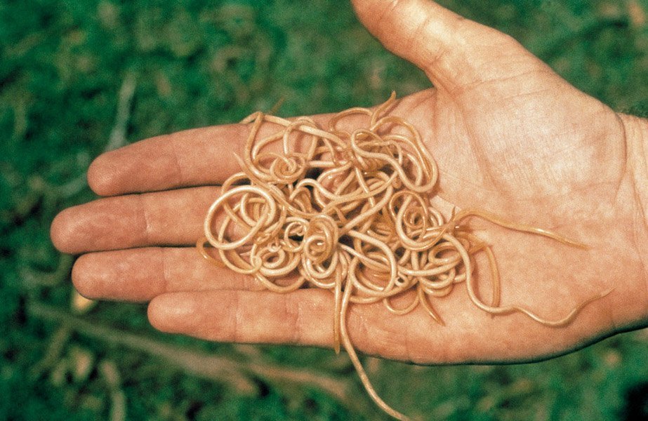 scale_1200.jpg