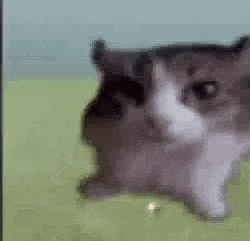 school-in-the-morning-be-like.gif