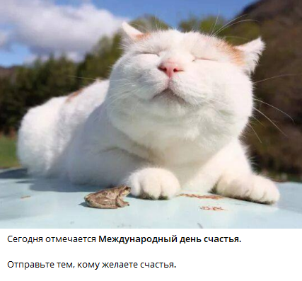 Screenshot_1.png