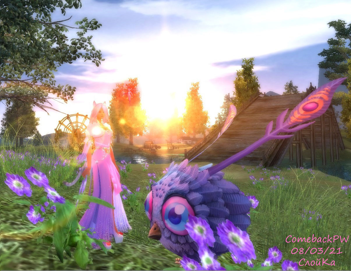 Screenshot_19.jpg