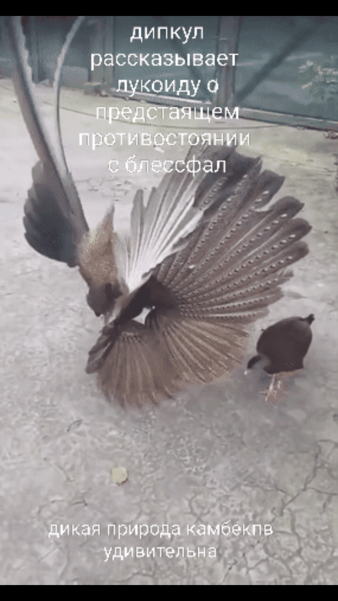 Screenshot_20220522-162931.png