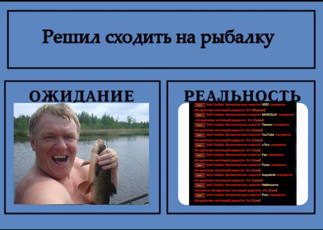 Screenshot_20220807-152106_Gallery.jpg