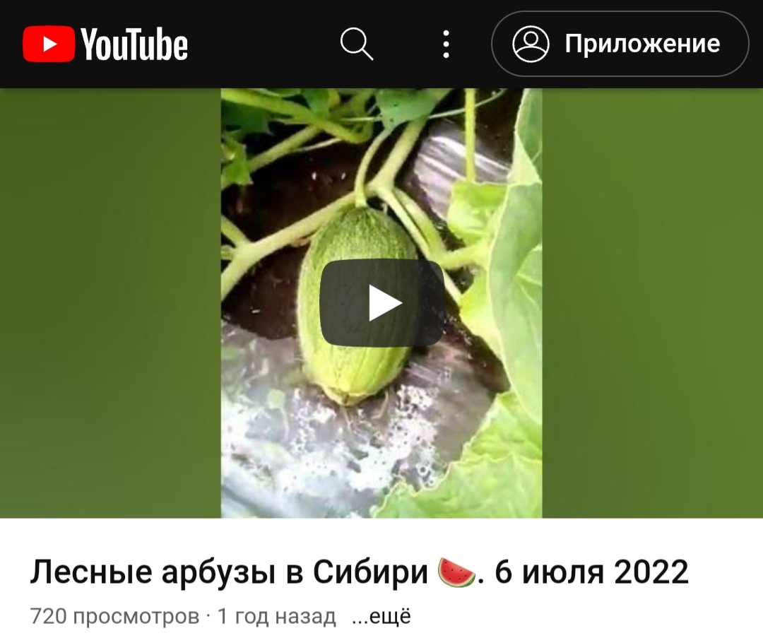Screenshot_20240423-133408_Samsung Internet.jpg