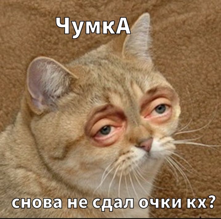 Screenshot_20240716-113506.jpg