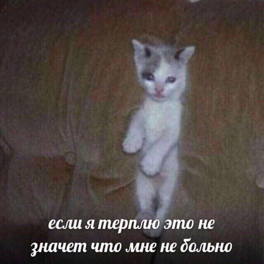 Screenshot_20240806_193948_VK.jpg