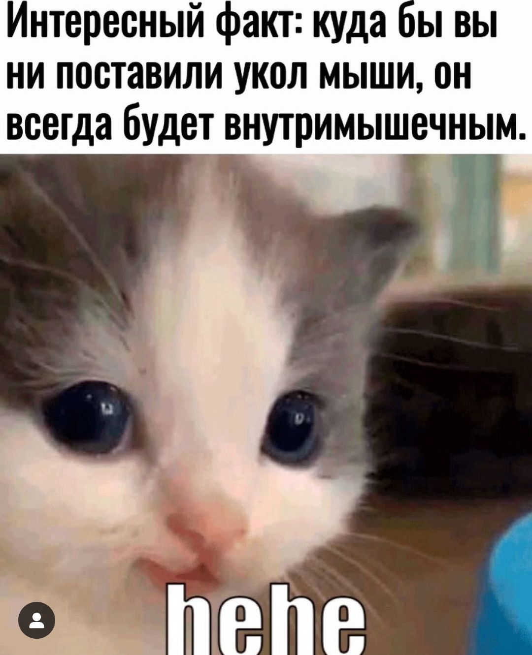 Screenshot_20240807_082626_Instagram.jpg