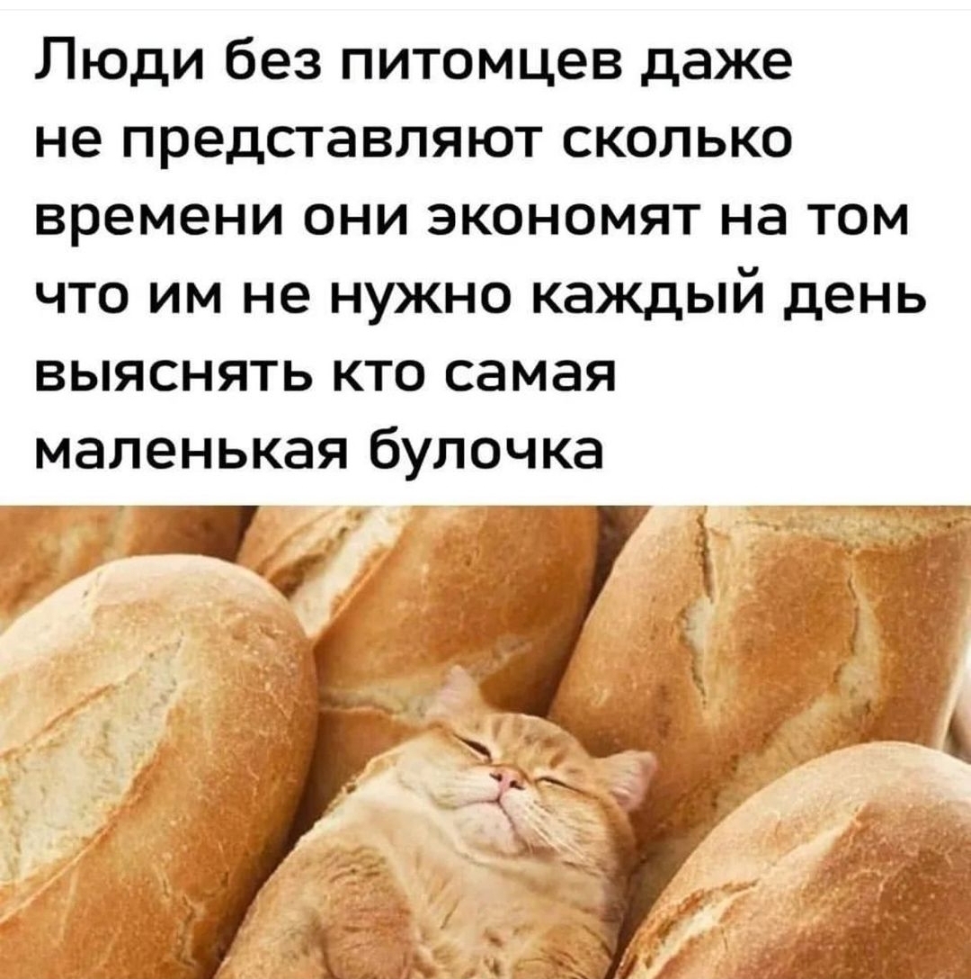 Screenshot_20240811_151910_Instagram.jpg