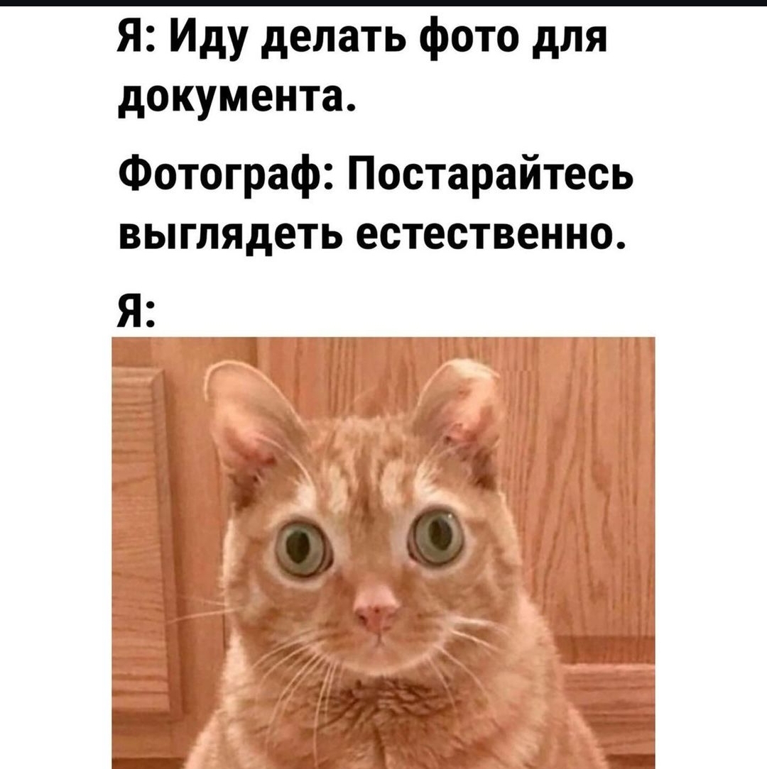 Screenshot_20240818_095256_Instagram.jpg