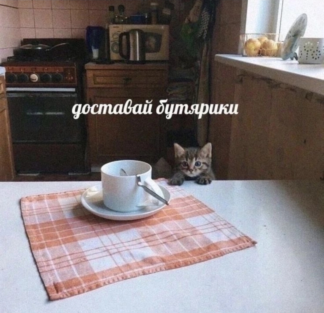 Screenshot_20240821_080031_VK.jpg
