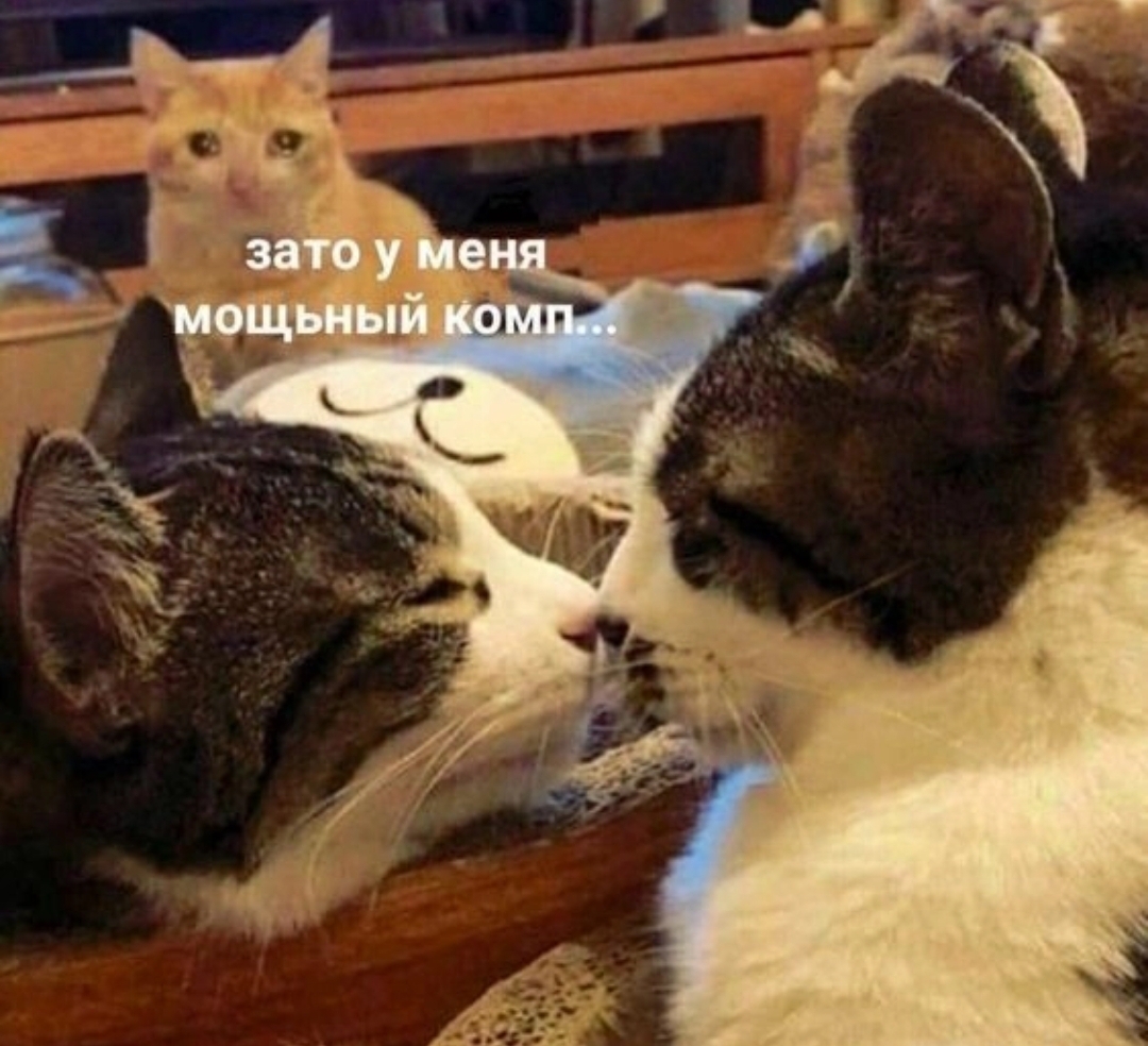 Screenshot_20240821_082100_VK.jpg