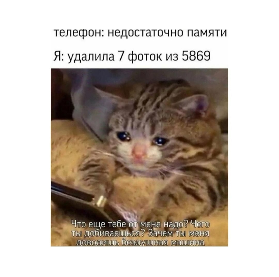 Screenshot_20240821_142846_Instagram.jpg