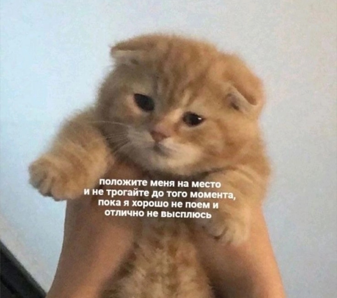 Screenshot_20240822_153436_VK.jpg