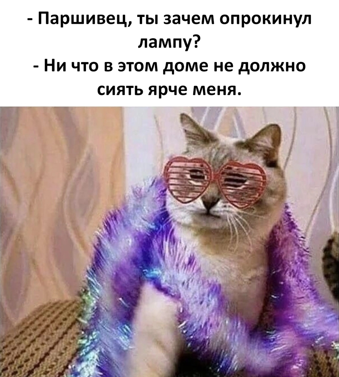 Screenshot_20240828_134227_VK.jpg