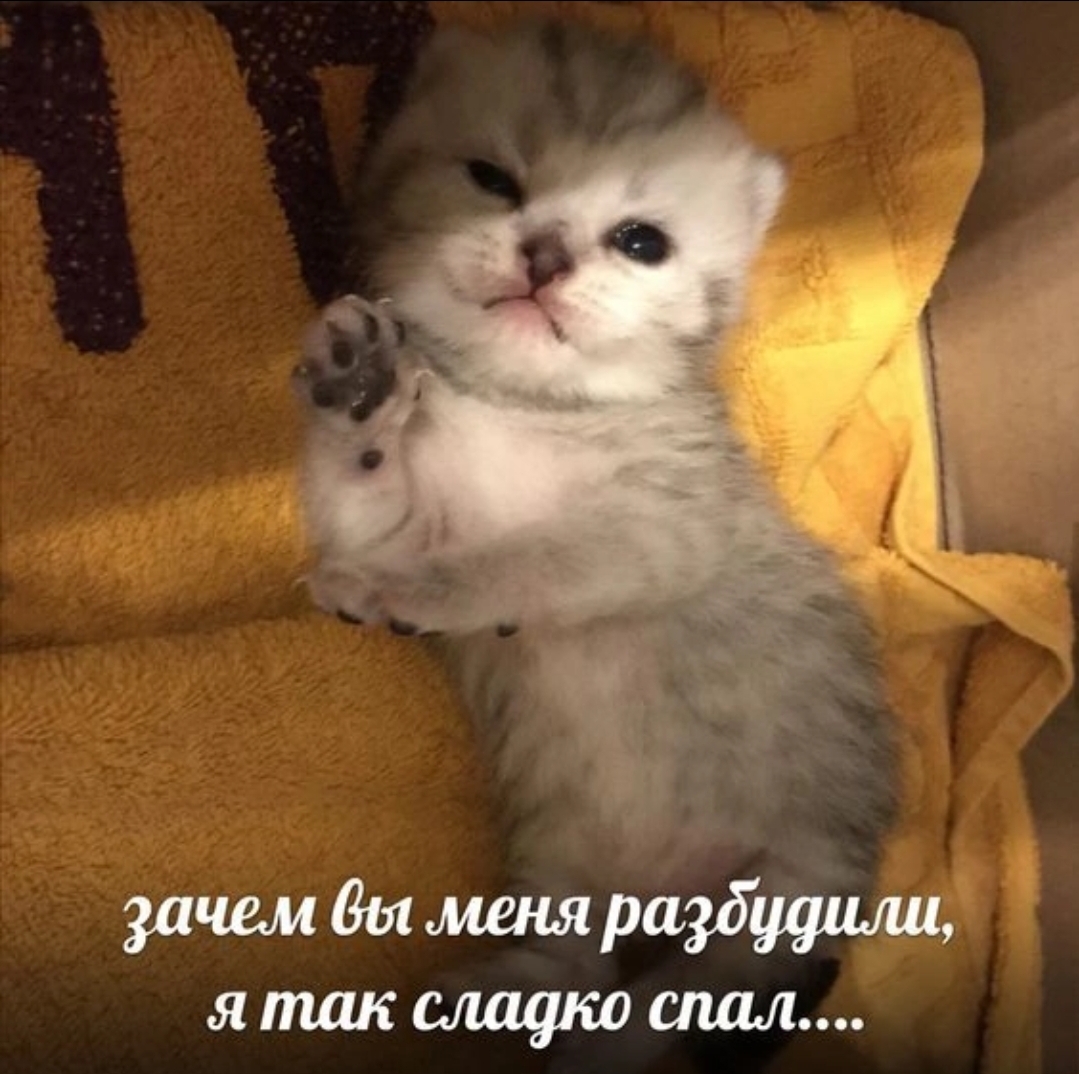 Screenshot_20240903_120012_VK.jpg