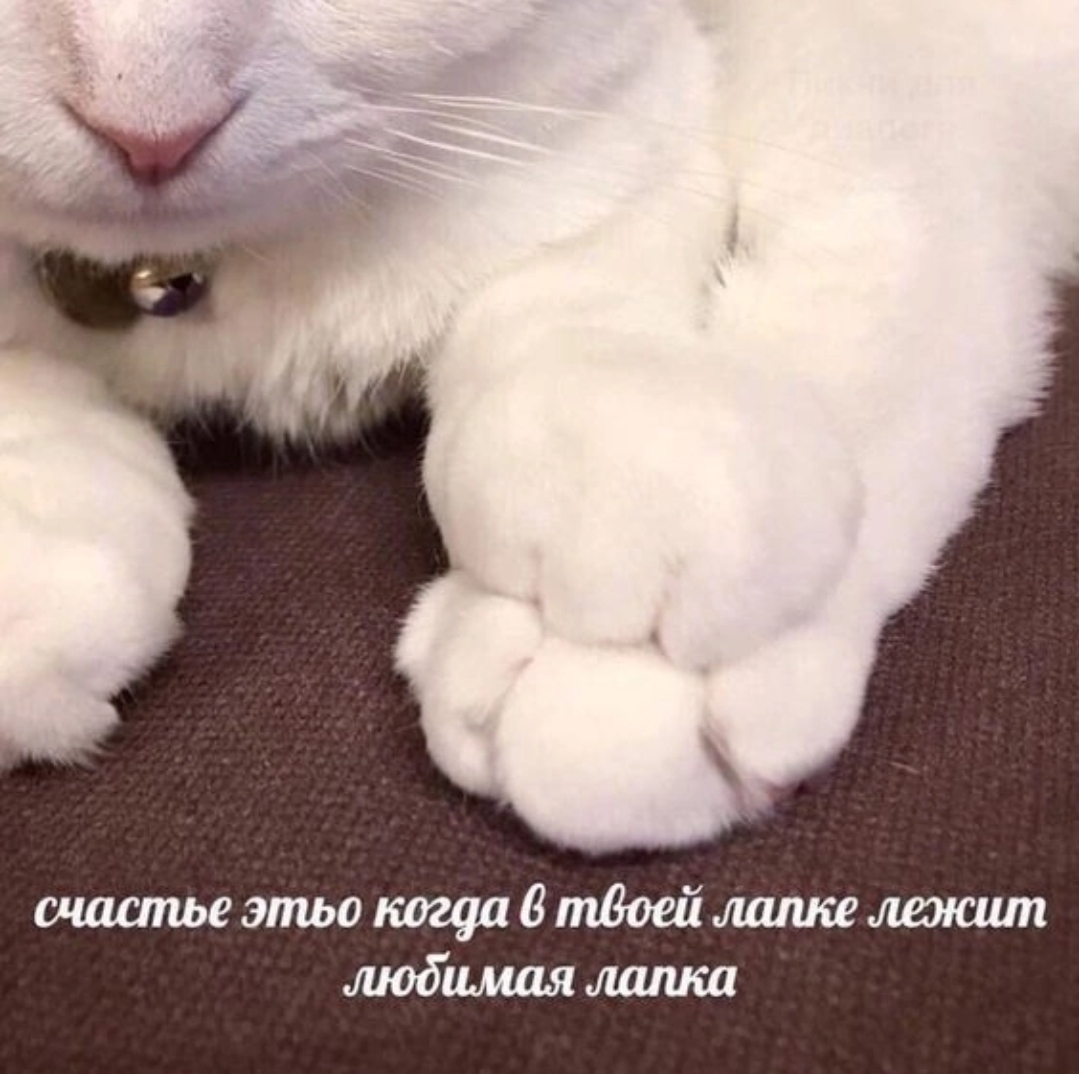 Screenshot_20240907_121305_VK.jpg