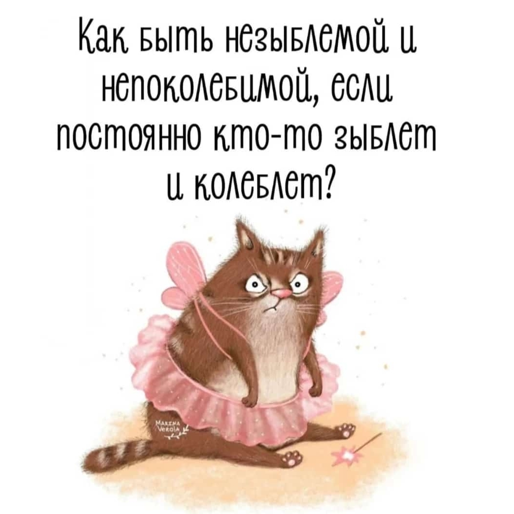 Screenshot_20240910_210649_WhatsApp.jpg