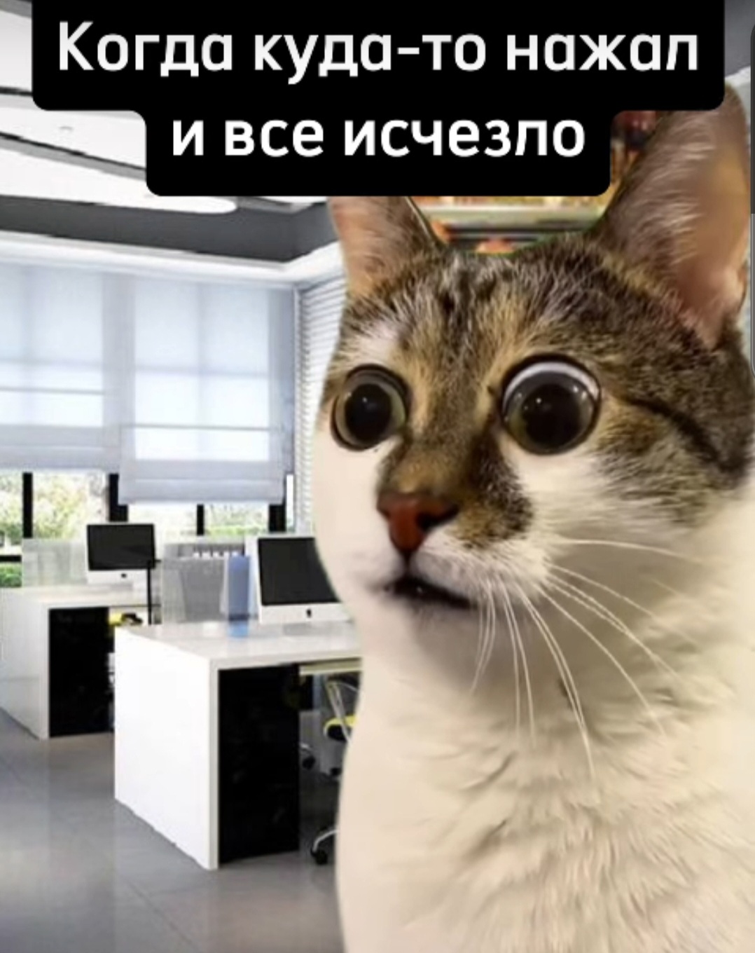 Screenshot_20240912_183848_VK.jpg
