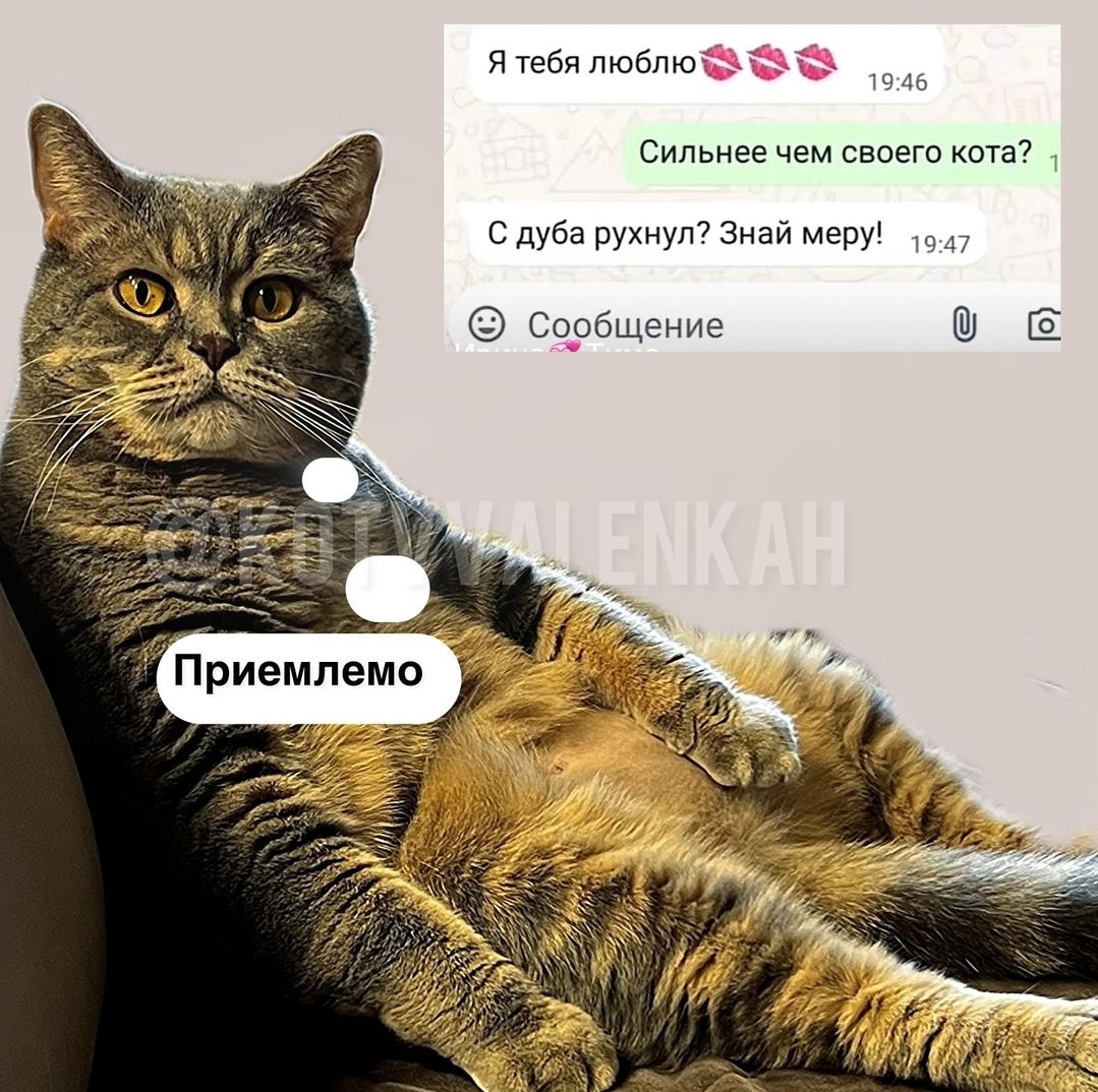 Screenshot_20240913_013807_Instagram.jpg