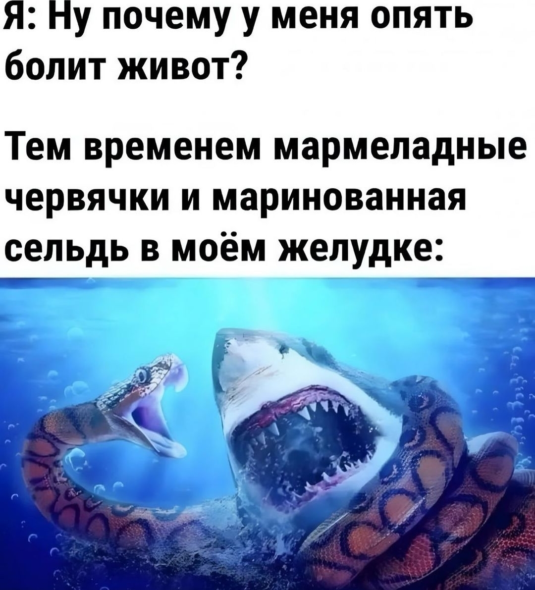 Screenshot_20240913_232425_Instagram.jpg