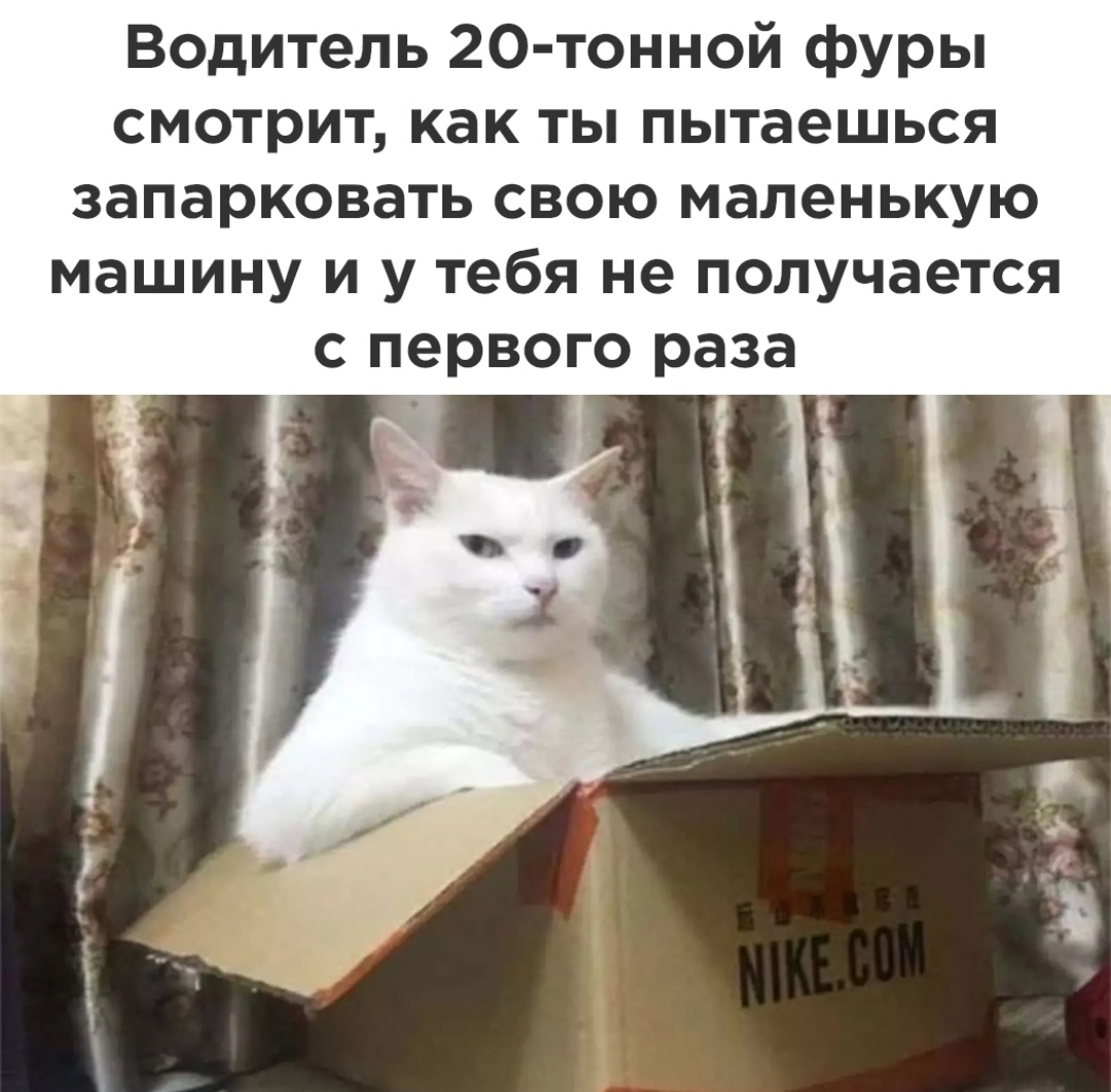 Screenshot_20240920_122929_Instagram.jpg
