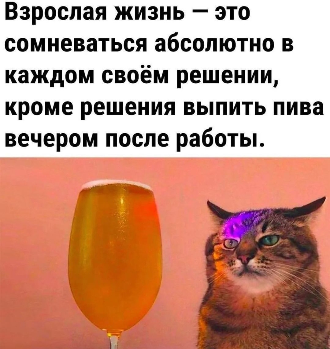 Screenshot_20240930_175538_Instagram.jpg