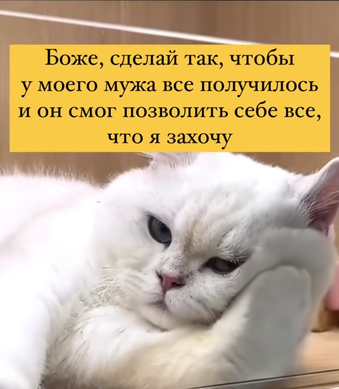 Screenshot_20241001_235413_Instagram.jpg