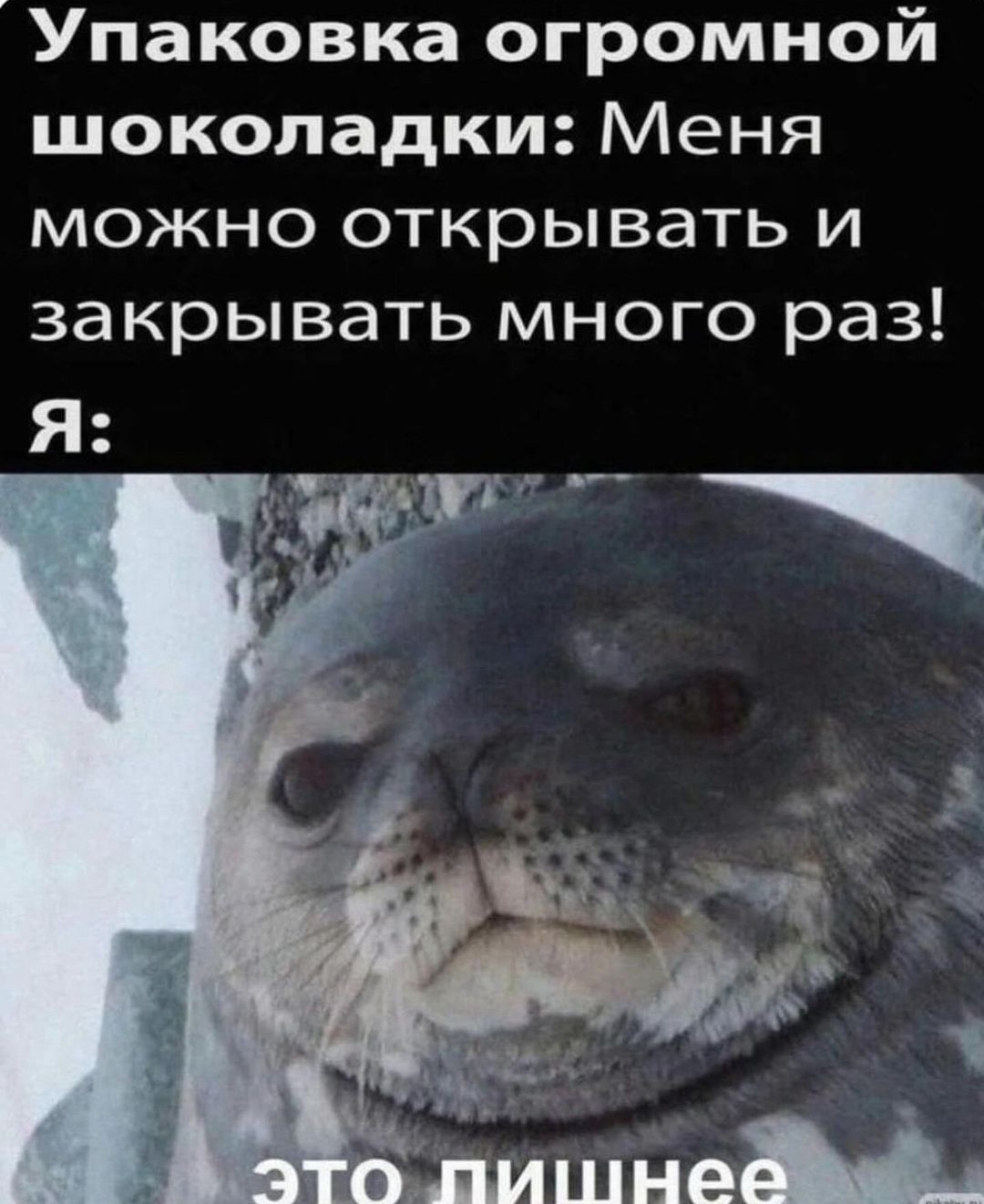 Screenshot_20241013_155810_Instagram.jpg