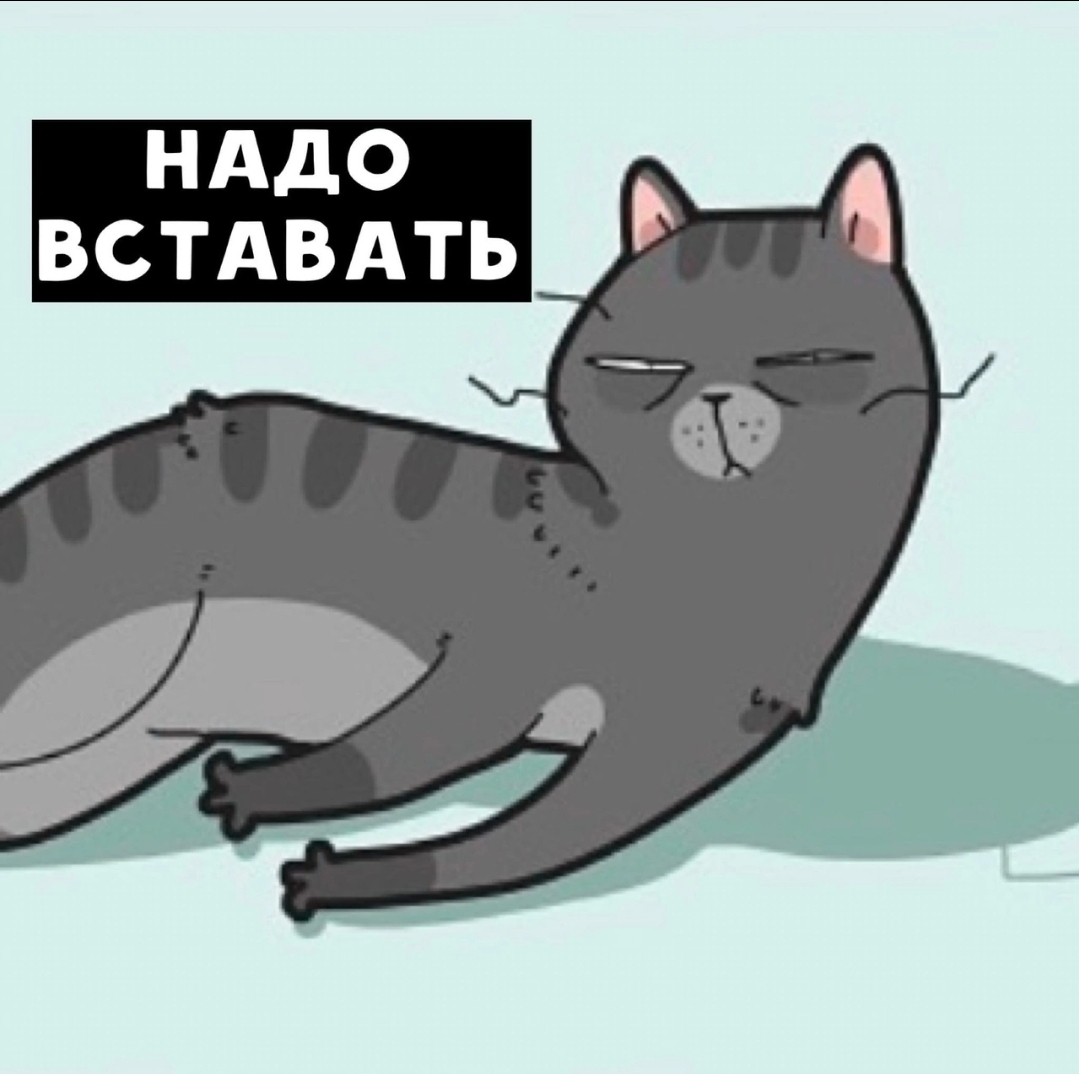 Screenshot_20241105_132224_VK.jpg