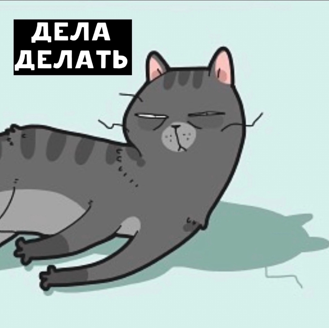 Screenshot_20241105_132237_VK.jpg