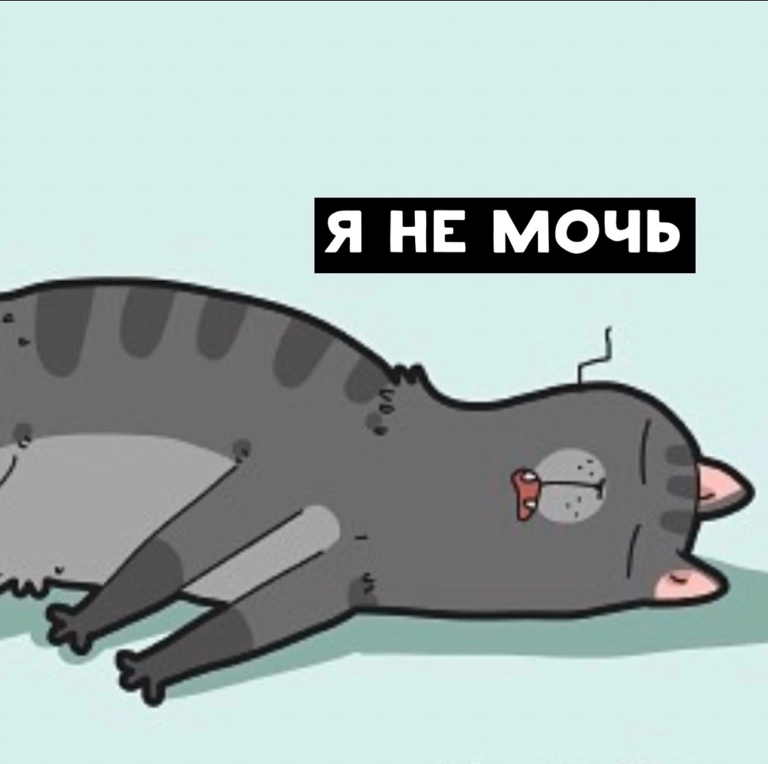 Screenshot_20241105_132324_VK.jpg