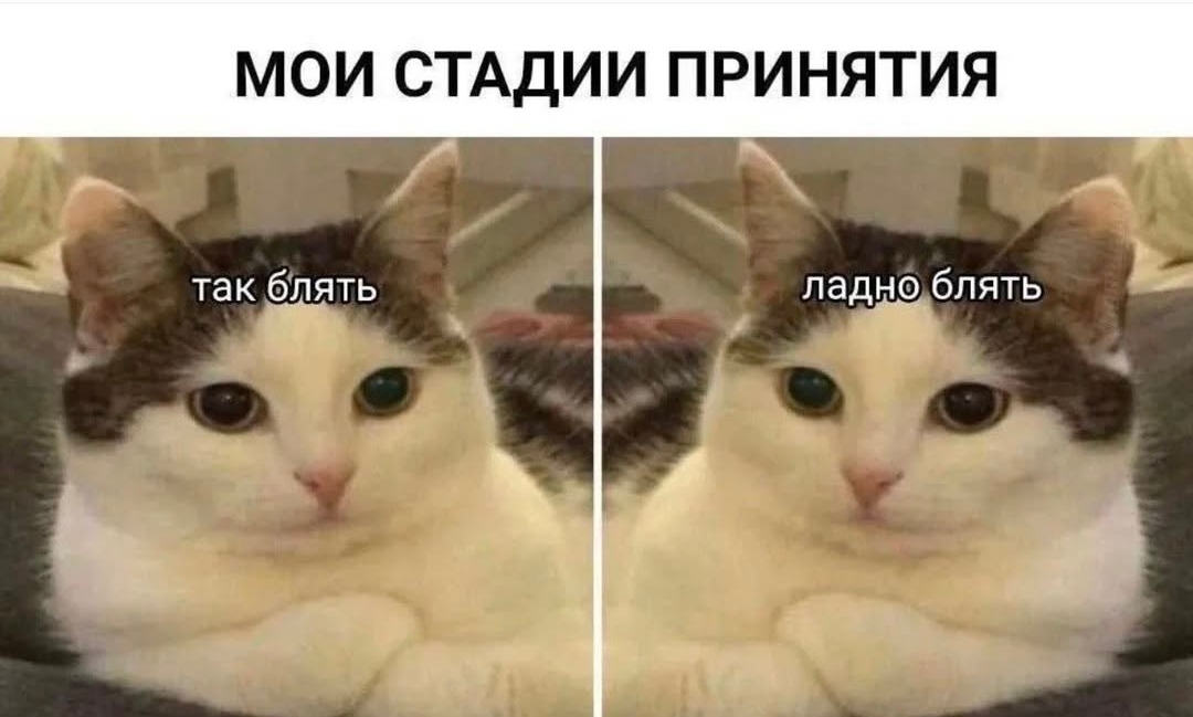 Screenshot_20241206_050147_Instagram.jpg