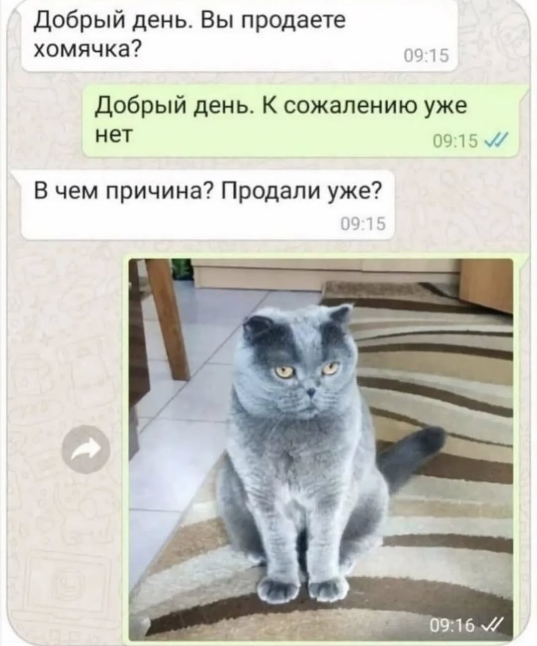 Screenshot_20241226_112226_Instagram.jpg