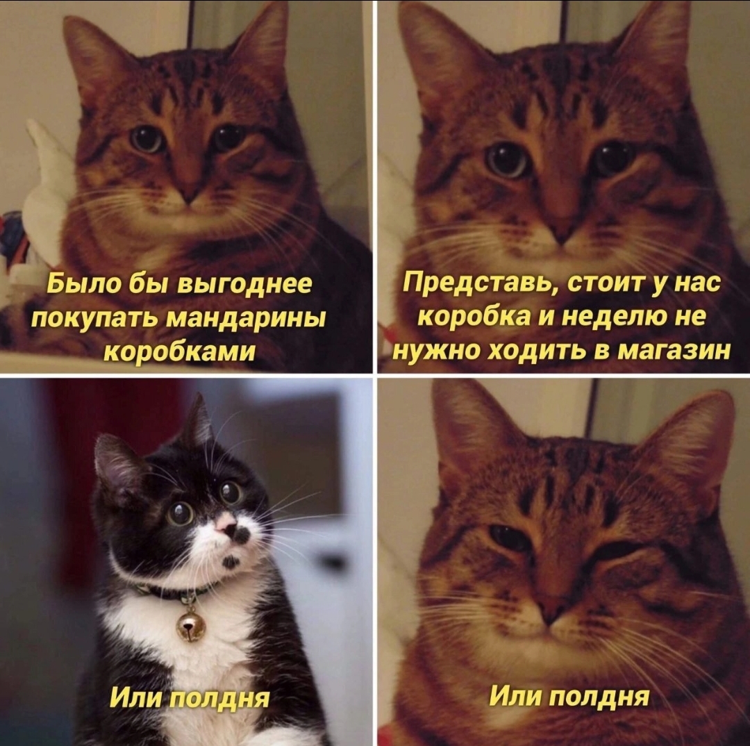 Screenshot_20241228_093743_VK.jpg