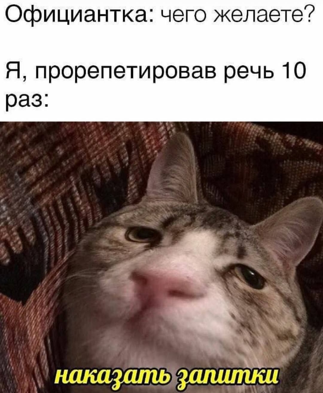 Screenshot_20241228_174927_Instagram.jpg