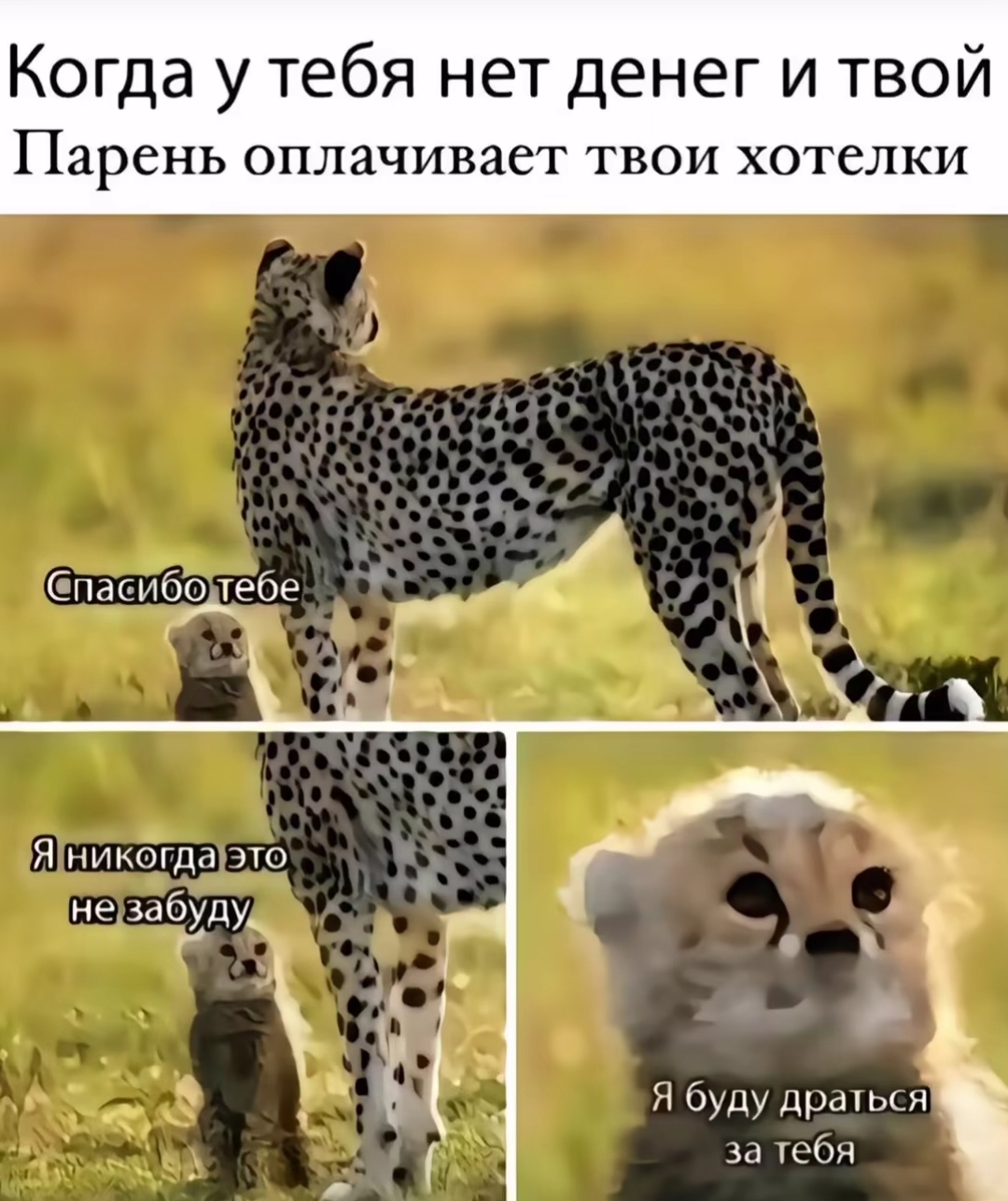 Screenshot_20241229_175904_Instagram.jpg