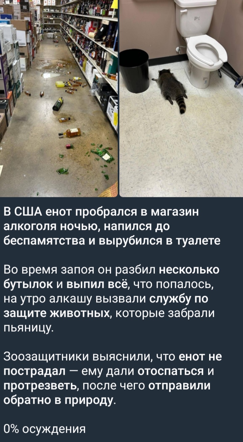 Screenshot_20251203_074425_Telegram.jpg