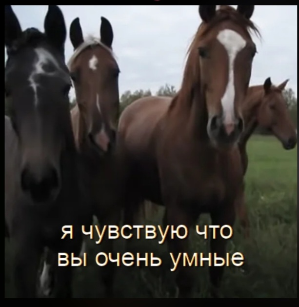 Screenshot_20260107_121526_Telegram.jpg