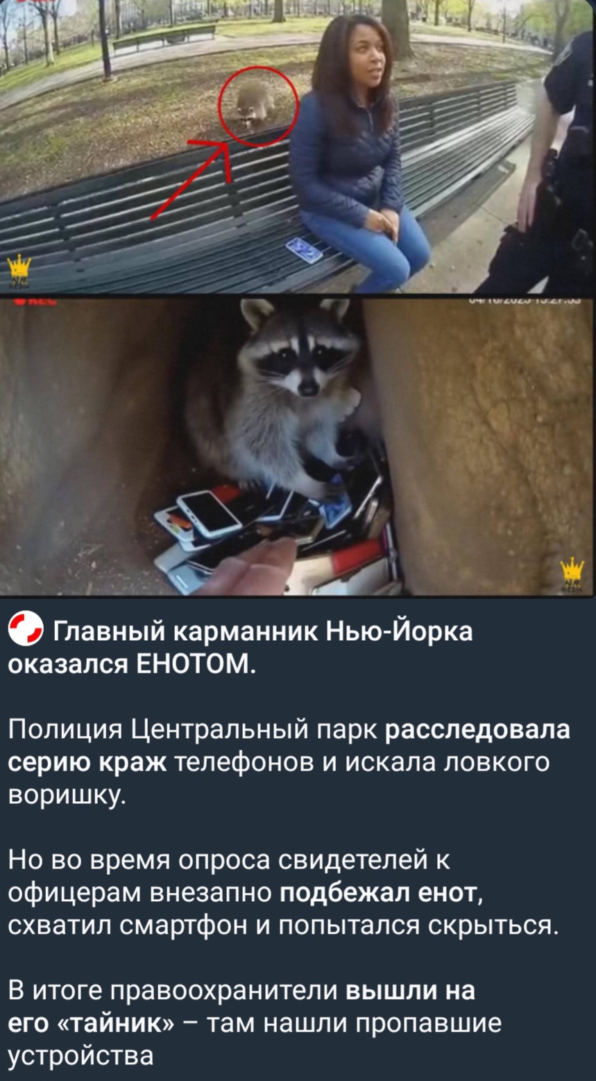 Screenshot_20260326_132047_Telegram.jpg