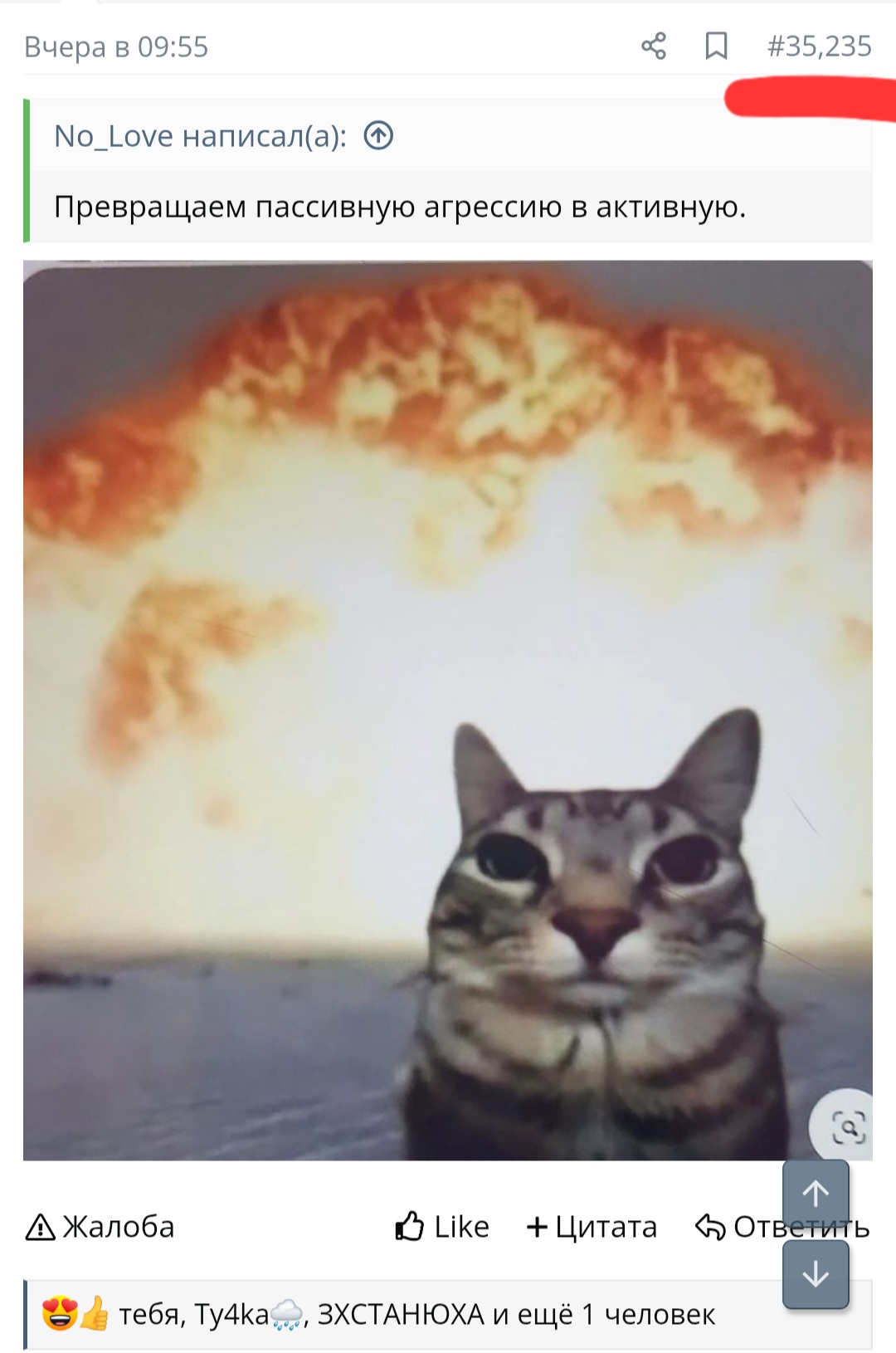 Screenshot_20260401_092330_Chrome.jpg