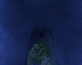 Screenshot_32.jpg