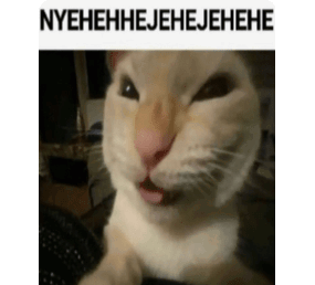 seeker-cat-phantom-cat.gif