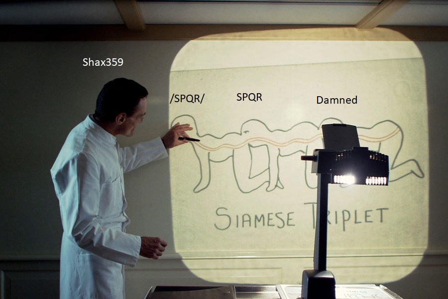 shax333.jpg