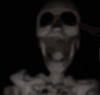 skeleton (1).gif
