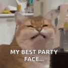 smile-cat.gif